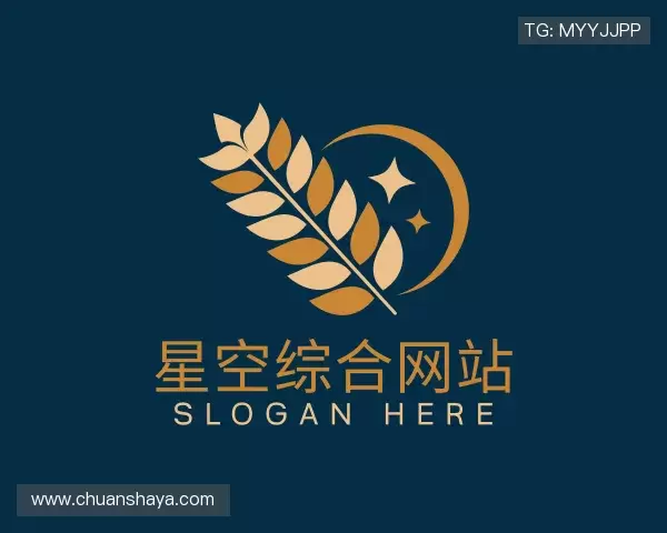 了解星空综合网站